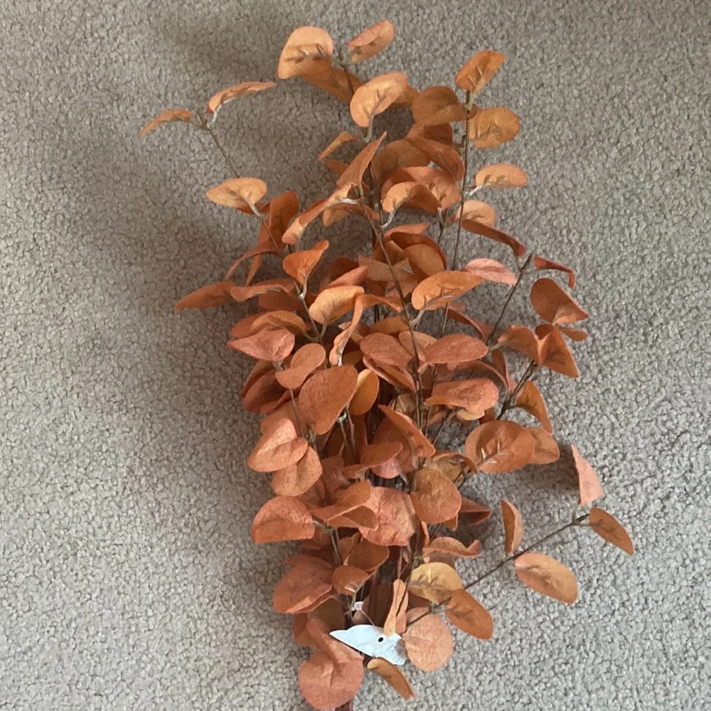 Ragoon House Orange Eucalyptus